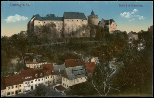 Ansichtskarte Leisnig Stadt u. Schloss Mildenstein 1915