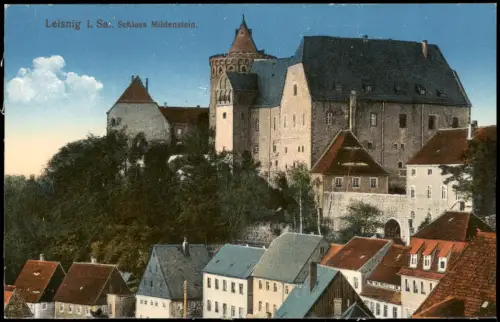 Ansichtskarte Leisnig Schloss Mildenstein Häuser 1915