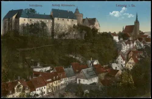 Ansichtskarte Leisnig Stadtpartie Schloß 1915