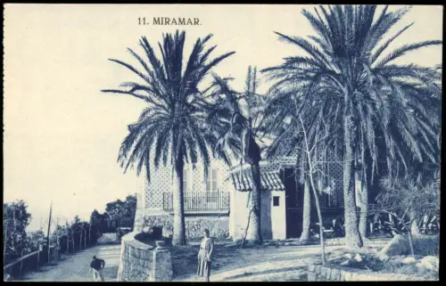 Postale Palma ( de Mallorca) MIRAMAR Palmen Haus 1915