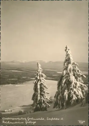 Grunwald-Bad Reinerz Zieleniec Duszniki-Zdrój Reichensteiner Gebirge Winter 1950
