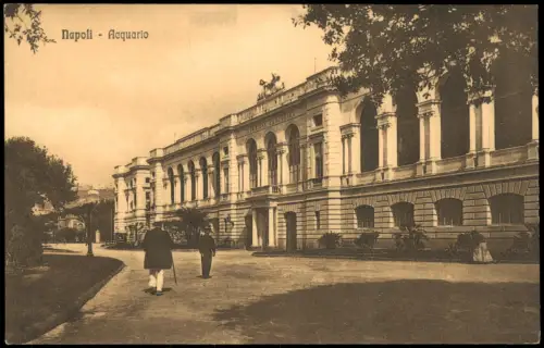 Cartolina Neapel Napoli Acquario 1918