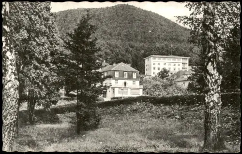Ansichtskarte Reinhardshausen-Bad Wildungen Blick auf das Sanatorium 1960