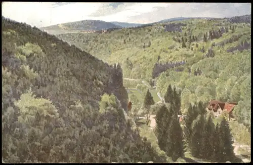 Ansichtskarte Bad Wildungen Helenental WIRO-KÜNSTLERKARTE 1924