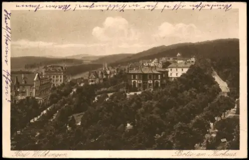 Ansichtskarte Bad Wildungen Panorama-Ansicht Partie am Kurhaus 1921