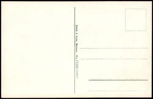 Ansichtskarte Rochlitz vom Schellenberg. Rochlitzer Berg. 1914