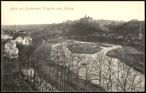 Ansichtskarte Leisnig Blick auf Fischendorf, Tragnitz 1915