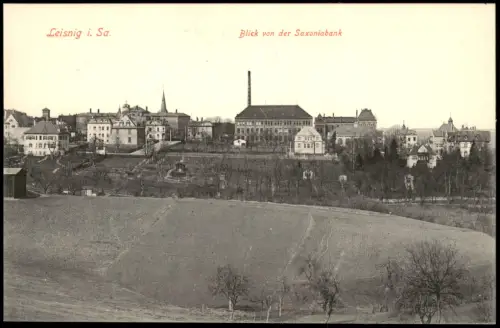 Ansichtskarte Leisnig Blick von der Saxoniabank - Fabrikanlage 1915