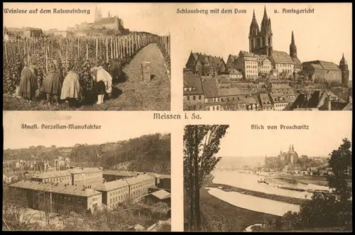 Ansichtskarte Meißen Weinlese Ratsweinberg, Blick von Proschwitz 1915