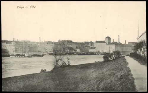 Ansichtskarte Riesa Elbpartie Häuserzeile Fabrik 1915