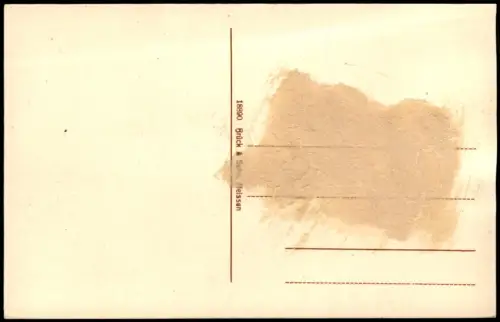 Ansichtskarte Riesa Promenade Dampfer 1915