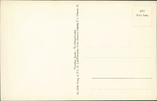 Ansichtskarte Bingen am Rhein Luftbild Burg Rheinstein u. Schweizerhaus 1932