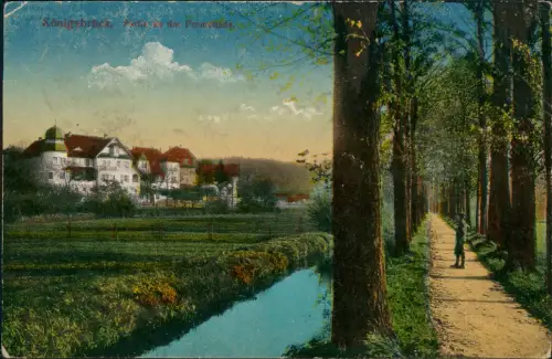 Ansichtskarte Königsbrück Kinspork Partie an dee Promenade 1917