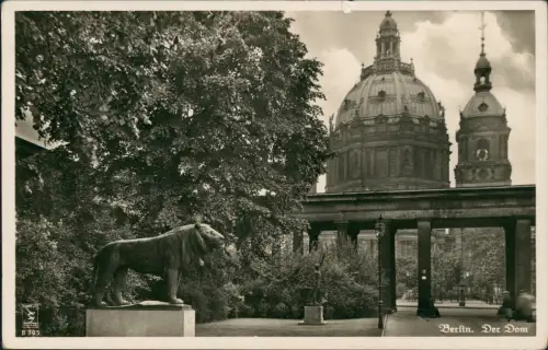 Ansichtskarte Mitte-Berlin Löwenstatue Dom 1938