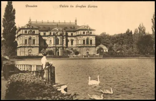 Seevorstadt-Ost/Großer Garten-Dresden Palais im Großen Garten Schwäne Frau 1915