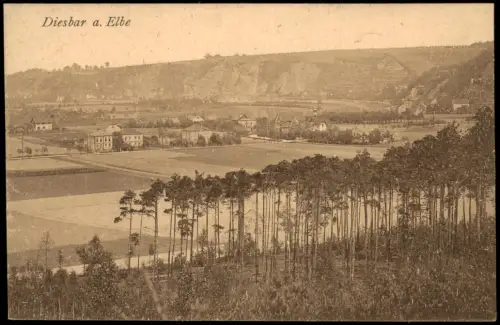 Diesbar (Elbe)-Nünchritz (Elbe) Blick auf die Stadt vom Waldesrand 1915