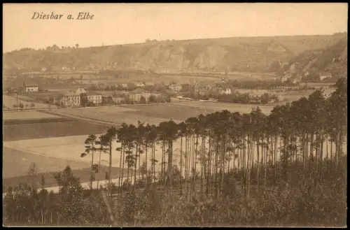 Diesbar (Elbe)-Nünchritz (Elbe) Blick auf die Stadt vom Waldesrand 1915