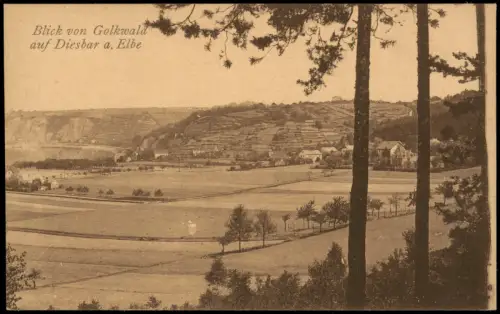 Diesbar (Elbe)-Nünchritz (Elbe) Blick von Golkwaldauf auf die Stadt 1915