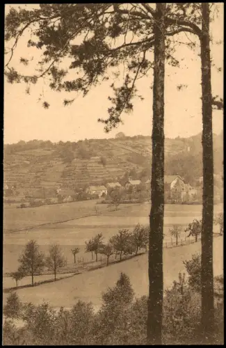 Diesbar (Elbe)-Nünchritz (Elbe) Blick durch die Bäume auf die Stadt 1915