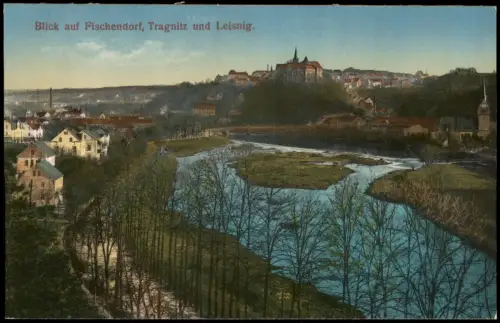 Ansichtskarte Leisnig Blick auf Fischendorf, Tragnitz 1915