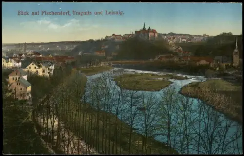 Ansichtskarte Leisnig Blick auf Fischendorf, Tragnitz 1915