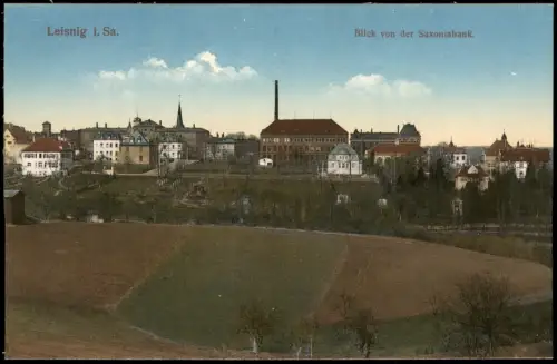 Ansichtskarte Leisnig Blick von der Saxoniabank. Stadt Fabrik 1915