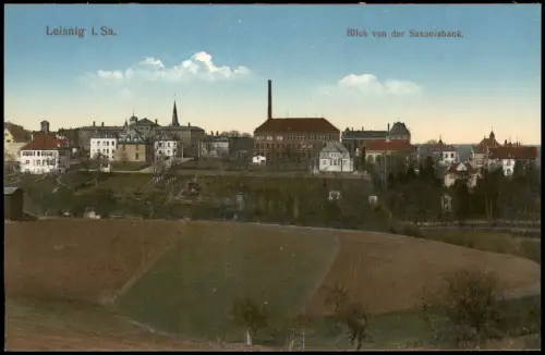Ansichtskarte Leisnig Blick von der Saxoniabank. Stadt Fabrik 1915