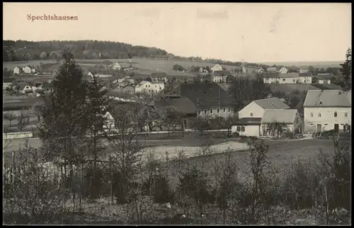 Ansichtskarte Spechtshausen-Tharandt Stadtpartie 1917