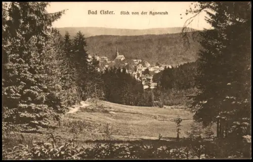 Ansichtskarte Bad Elster Blick von der Agnesruh 1917