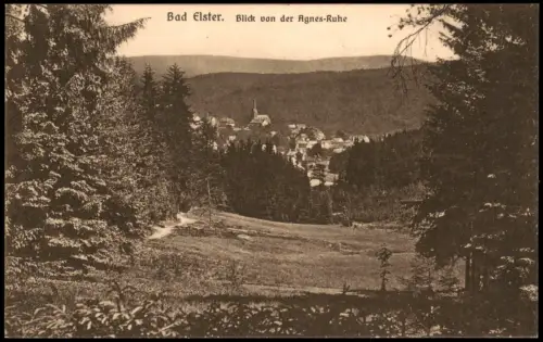 Ansichtskarte Bad Elster Blick von der Agnesruh 1917