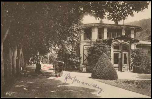Ansichtskarte Bad Elster Moritzquelle Straßenszene 1917