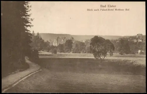 Ansichtskarte Bad Elster Blick nach Palast-Hotel Wettiner Hof 1917