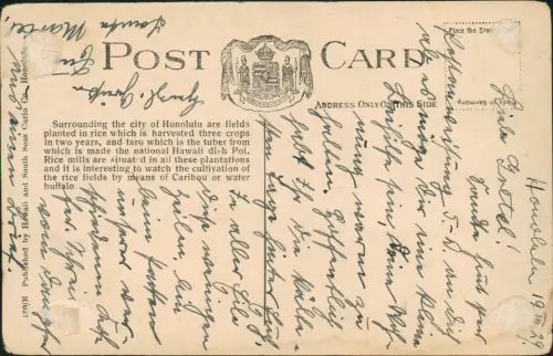 Postcard _Hawaii Allgemein Rice Field Palmen Hawaii 1912