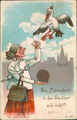 Scherzkarte Alte Frau und Storch Is der Sächser och ächt?! 1903