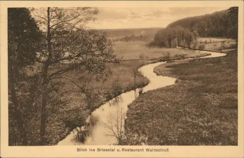 Ansichtskarte Birkenwerder Blick ins Briesetal u. Restaurant Waldschloß 1922