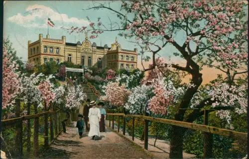 Ansichtskarte Werder (Havel) Restaurant Bismarckhöhe Baumblüte Aufgang 1910