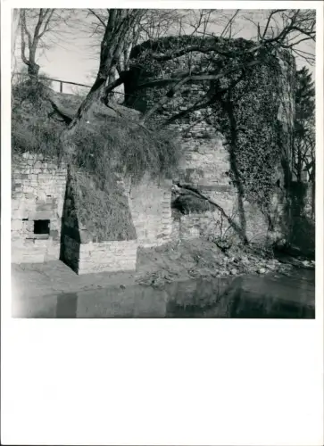 Ansichtskarte Einbeck Dieckturm Ruine 1960