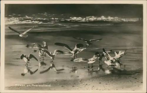 Ansichtskarte Ahlbeck (Usedom) Strand und Möwen - Fotokarte 1934
