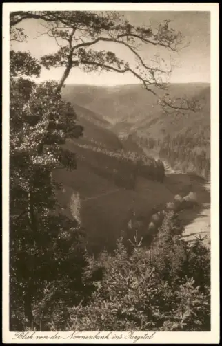 Ansichtskarte Zorge Blick von der Nonnenbank 1928