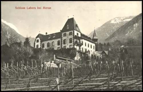 Cartolina Meran Merano Schloss Labers Weinreben 1911
