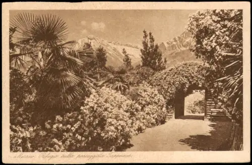 Cartolina Meran Merano Rifugio sulla seggiata Tappeiner. 1924  Südtirol