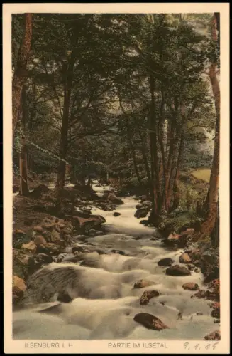 Ansichtskarte Ilsenburg (Harz) Umland-Ansicht PARTIE IM ILSETAL 1910