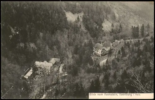Ilsenburg (Harz) Panorama-Ansicht Blick vom Ilsenstein, Ilsenburg i. Harz. 1910