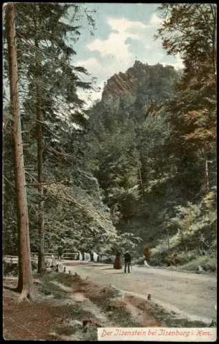 Ansichtskarte Ilsenburg (Harz) Umland-Ansicht Zufahrtsweg zum Ilsenstein 1907