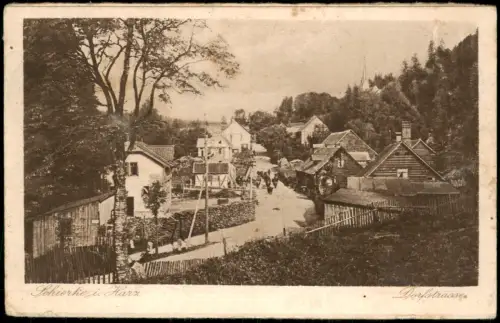 Ansichtskarte Schierke Häuser Partie in der Dorfstraße 1921