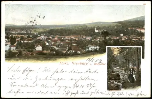 Ansichtskarte Ilsenburg (Harz) 2 Bild Stadtpartie 1902