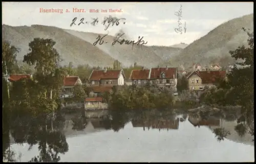 Ilsenburg (Harz) Panorama-Ansicht, Häuser, Blick ins Ilse-Tal 1915/1914