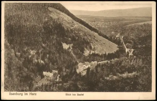 Ansichtskarte Ilsenburg (Harz) Panorama-Ansicht Blick ins Ilsetal (Harz) 1929