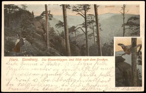 Ilsenburg (Harz) Umland-Ansicht Westerklippen Blick nach dem Brocken 1904