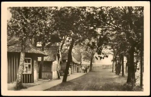 Ansichtskarte Prerow Ortsansicht Straßen Partie zur DDR-Zeit 1954